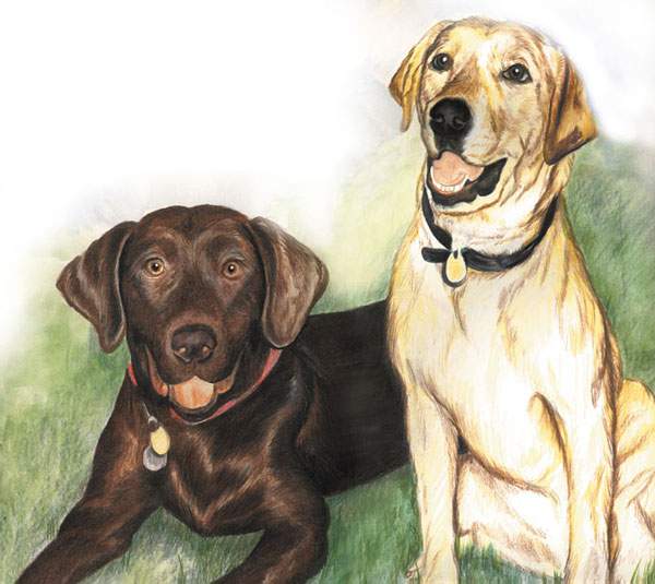 Pete & Rusty: Prismacolor Pencils